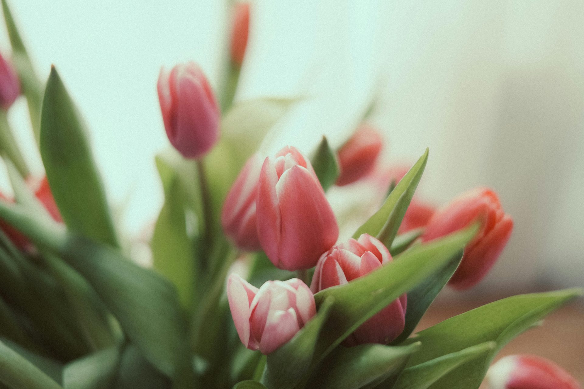 Decoración floral